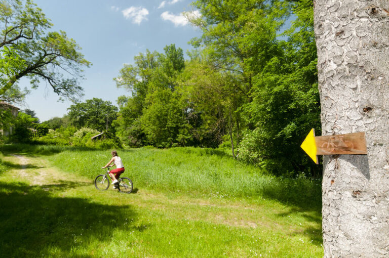 Parco boschi carrega in bici