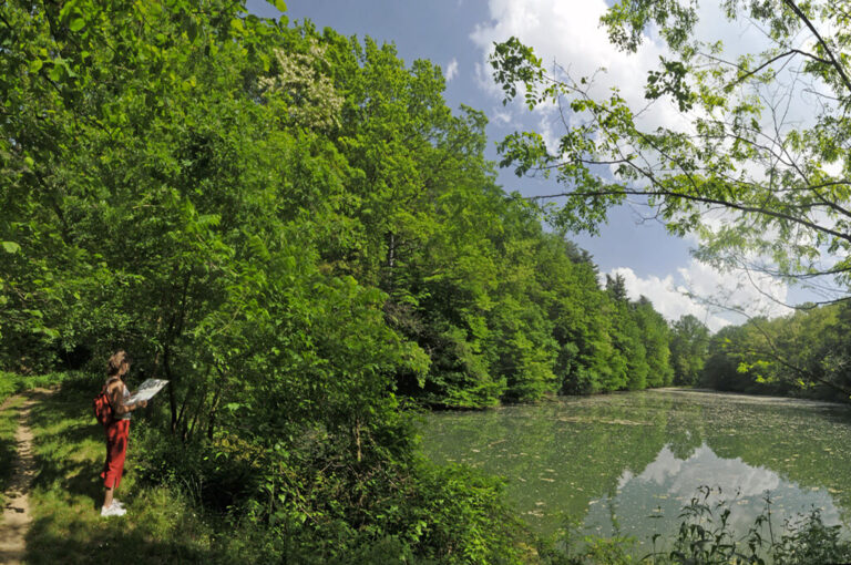 Parco boschi carrega panoramica