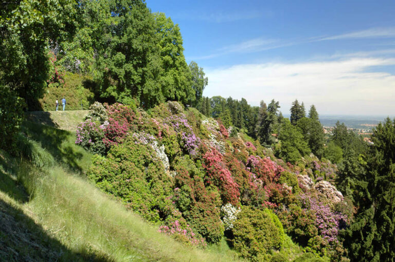Parco burcina rododendri