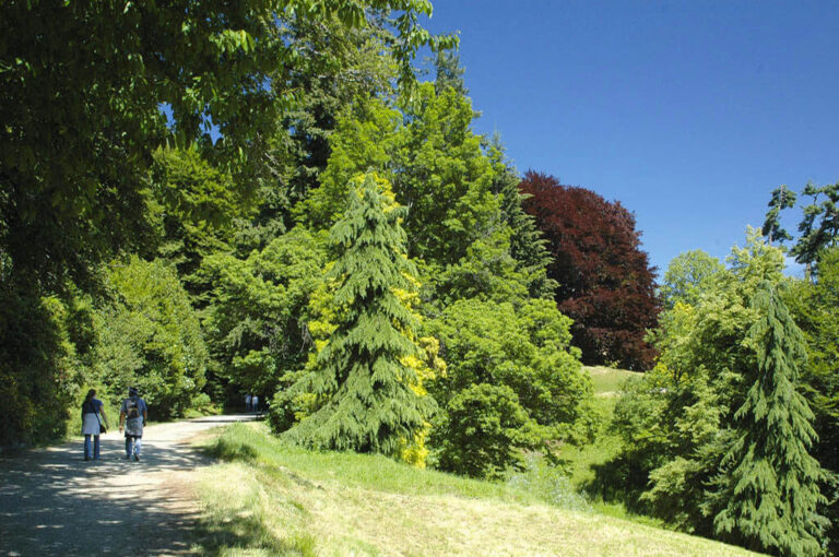 Parco burcina salita centro visite