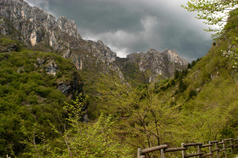 Trekking nella foresta della valsolda: le cime aspre della vallata