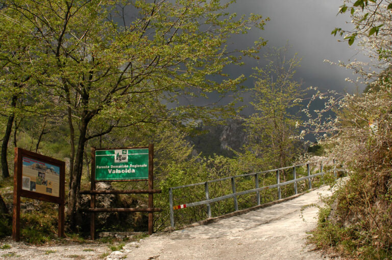 Trekking nella foresta della valsoldaa: ingresso foresta Valsolda