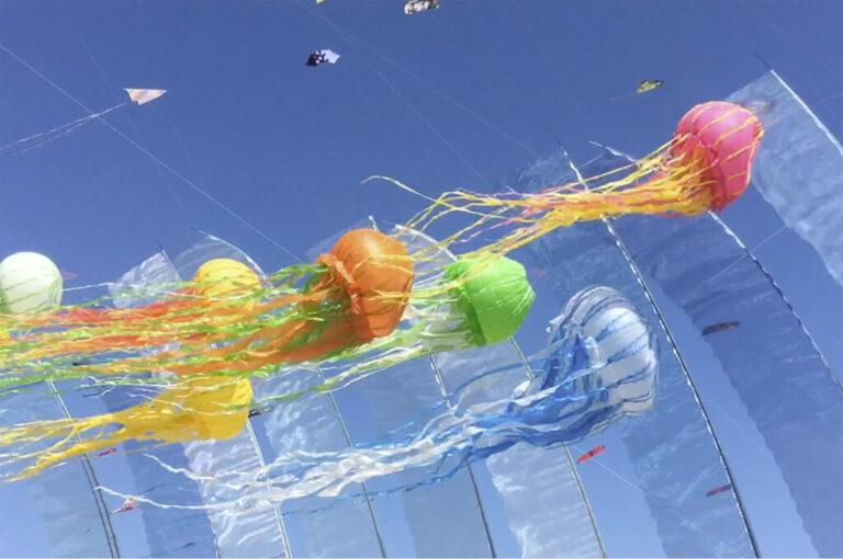 Festival internazionale dell'aquilone