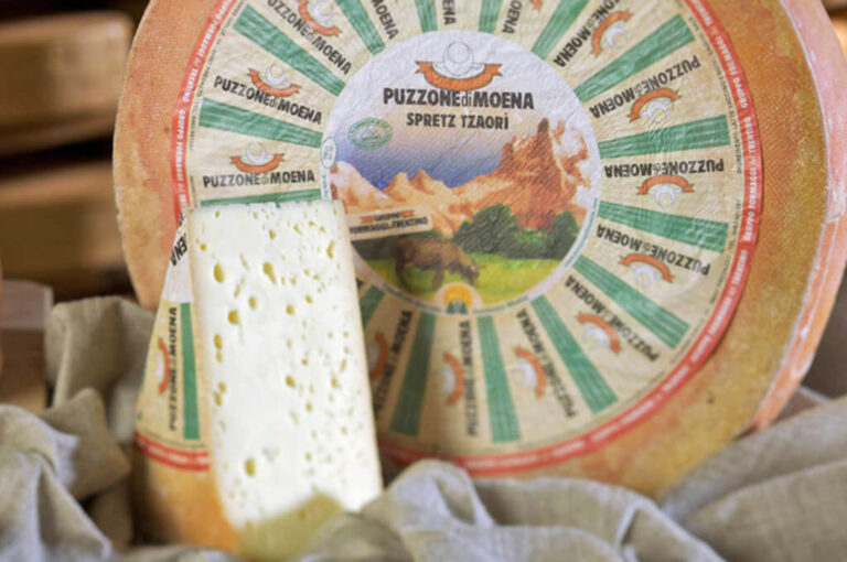 Festival del puzzone di moena