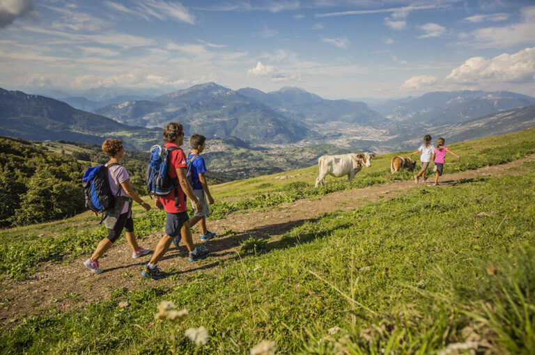 Offerte agosto montagnegratis