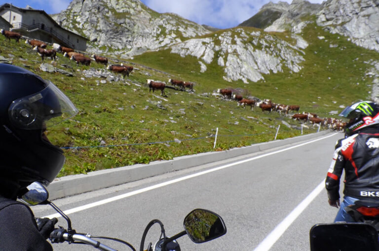 Offerte autunno montagnagratis