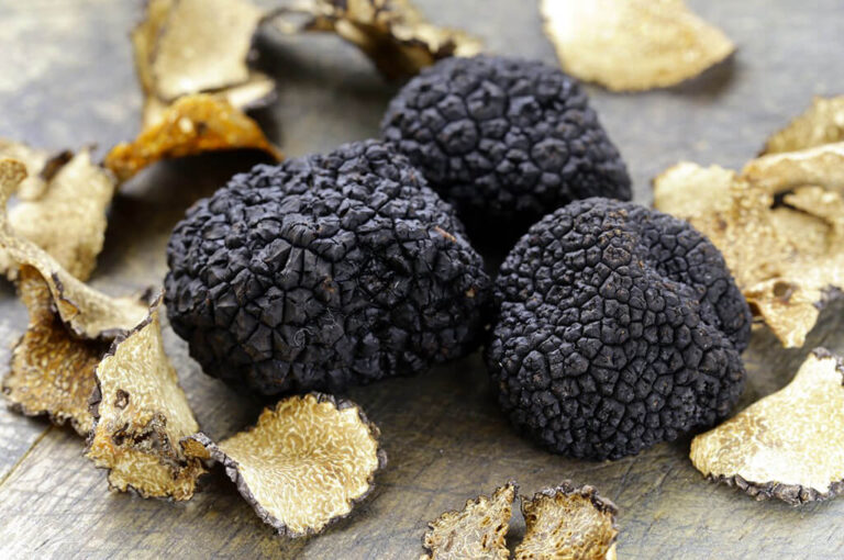 Fiera del tartufo nero di fragno