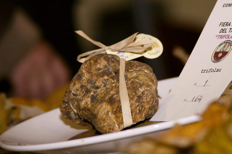 Fiera nazionale del tartufo trifola d'or