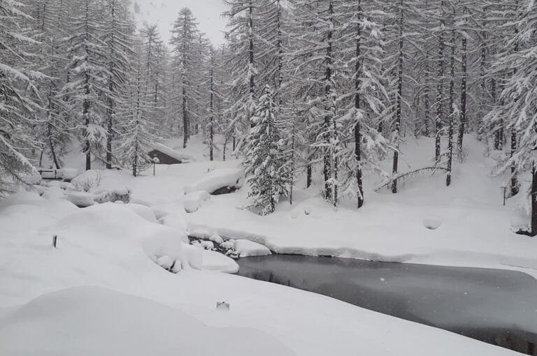 Festività natalizie nel parco nazionale del gran paradiso