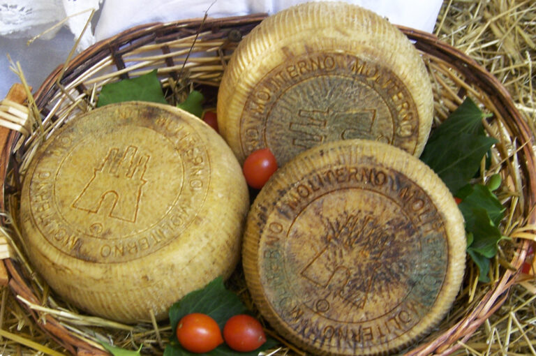 Sagra del canestrato di moliterno i.g.p.