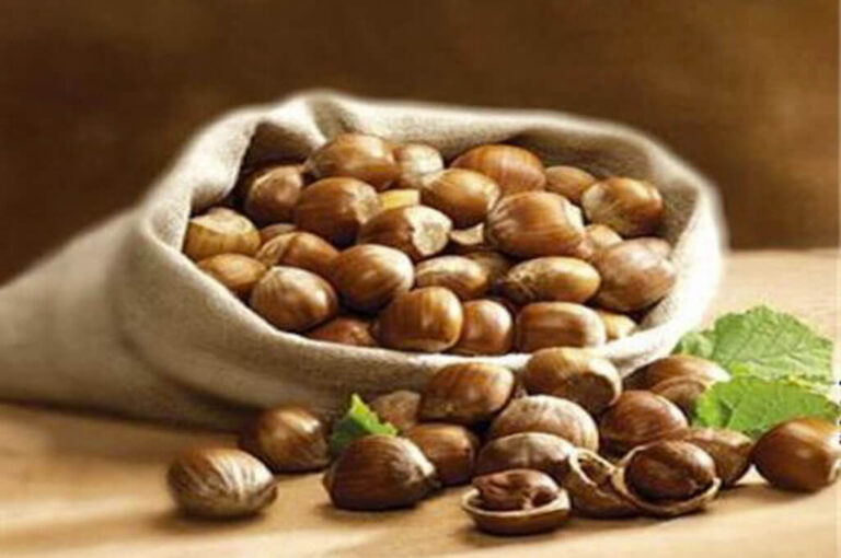 Sagra della nocciola piemonte igp