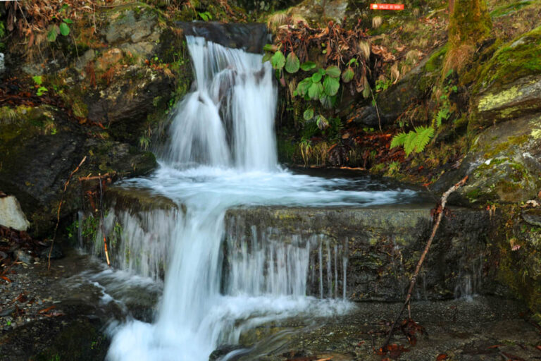 Sentiero del viandante 02