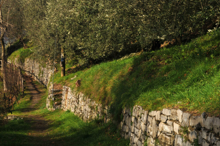 Sentiero del viandante 05