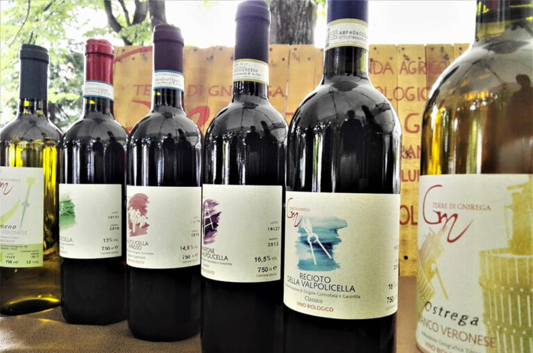 Vinissimo