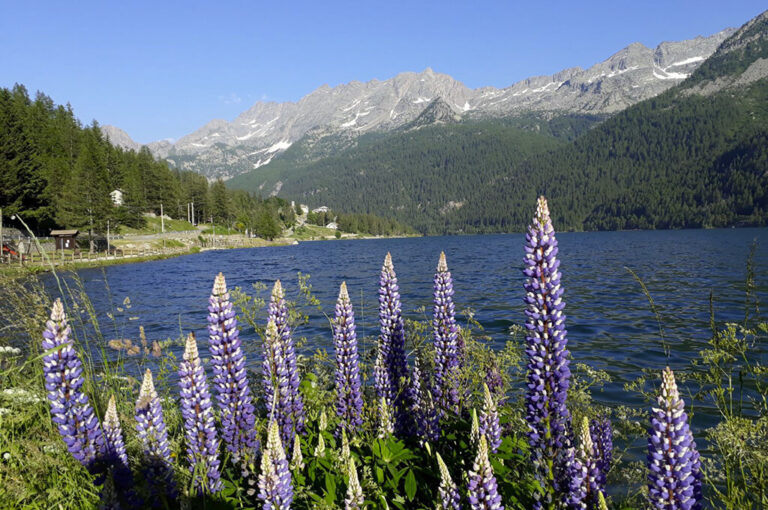Assaggi di territorio