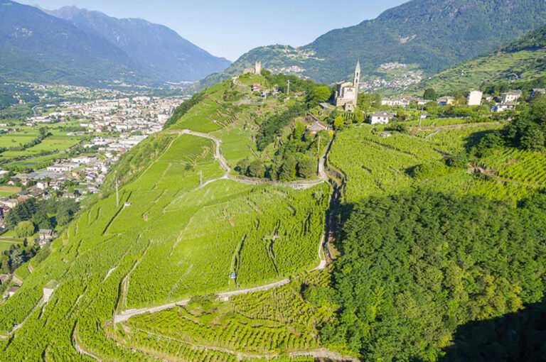 Valtellina wine trekking