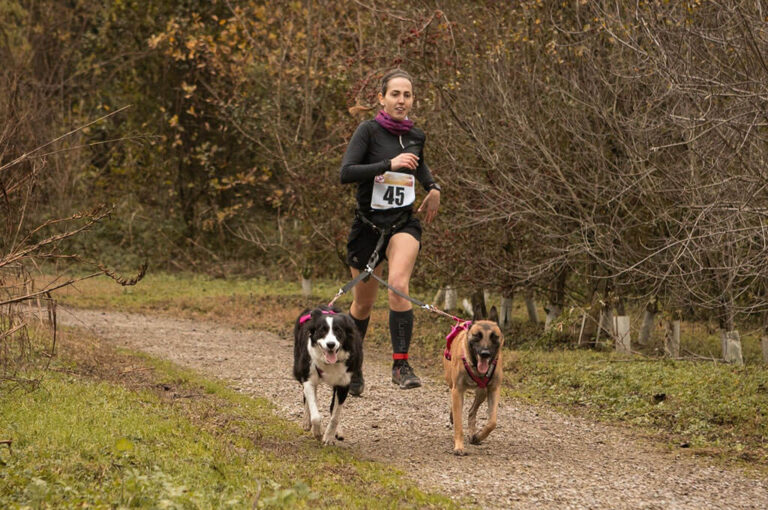 Dog fun run