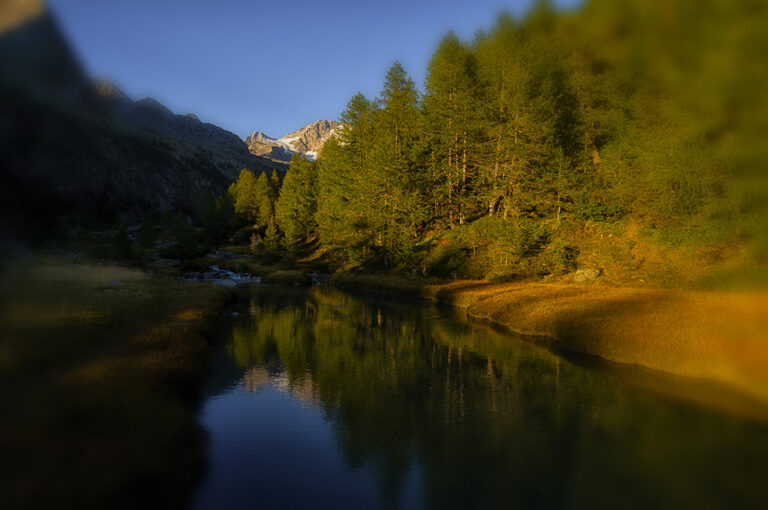 Sapori d'autunno