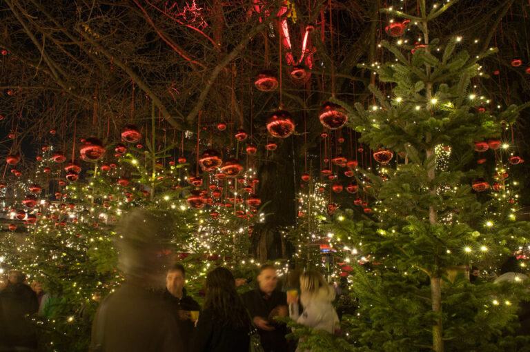 In camper tra i mercatini di natale: Piazza Whalter bolzano