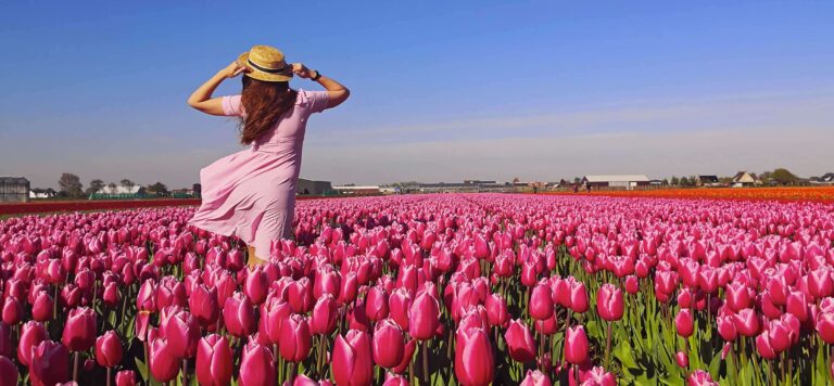 Sagre ed eventi primavera