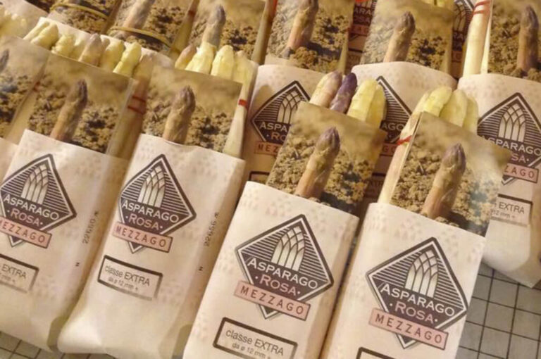 Sagra dell'asparago rosa