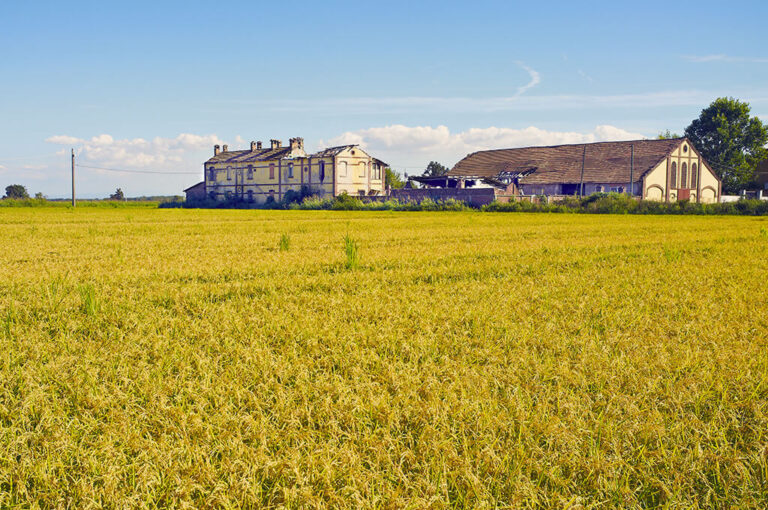 Benvenuti in lomellina