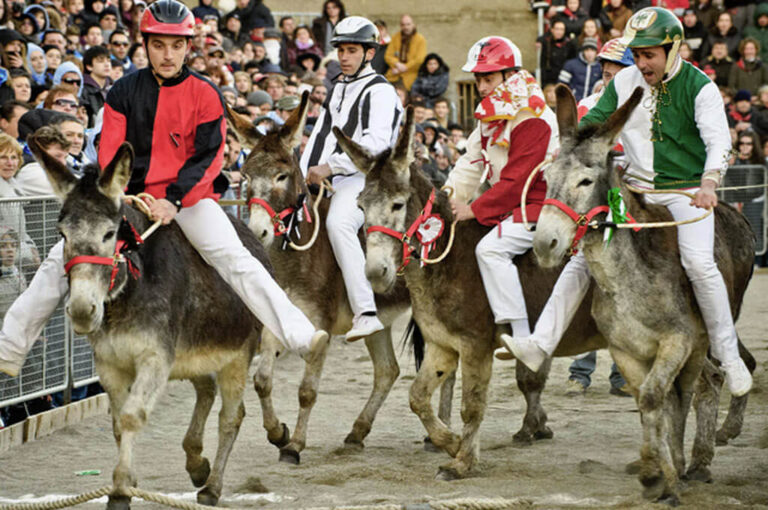 Palio dei somari