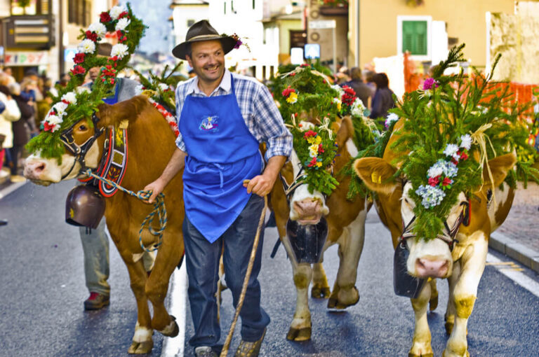 Festival del gusto & desmontegada de le vache