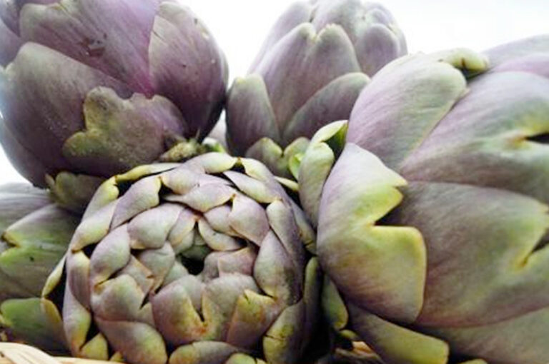 Sagra del carciofo romanesco