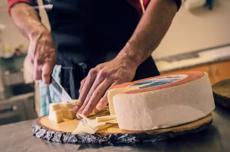 Cheese festival di sole