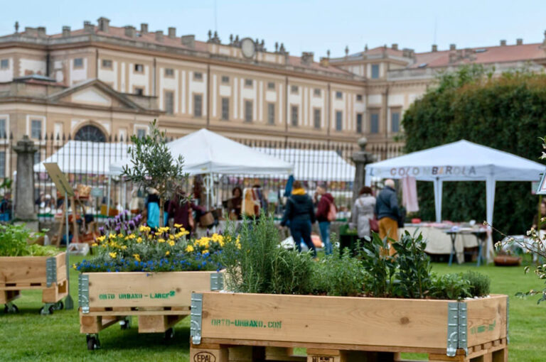 Monza green experience