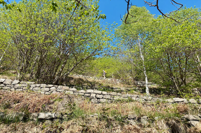 Tratto sull'ex mulattiera militare