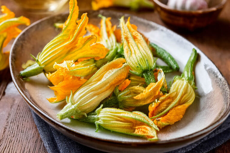 Sagra del fiore di zucca fritto