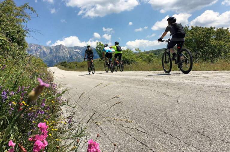 Marche in bicicletta 01