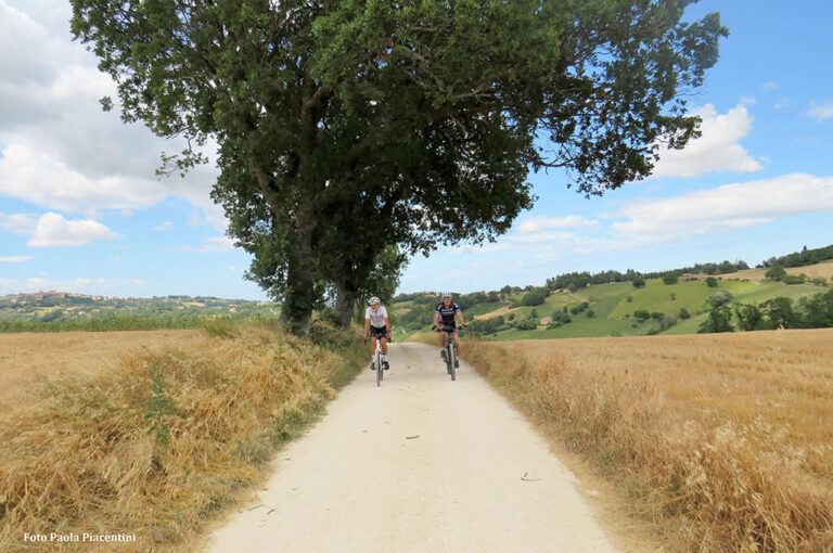 Marche in bicicletta 05
