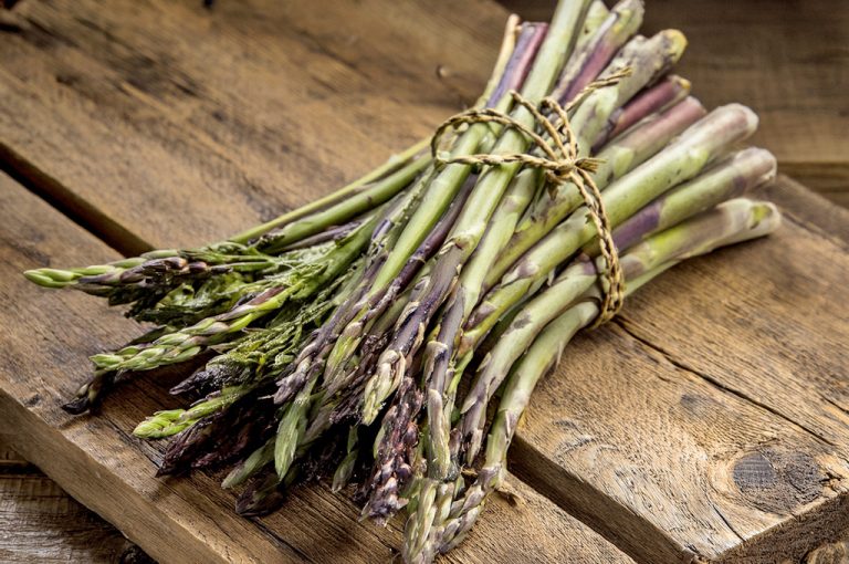 Sagra dell’asparago selvatico