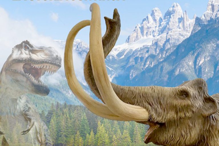 Dai dinosauri ai mammut, la storia continua