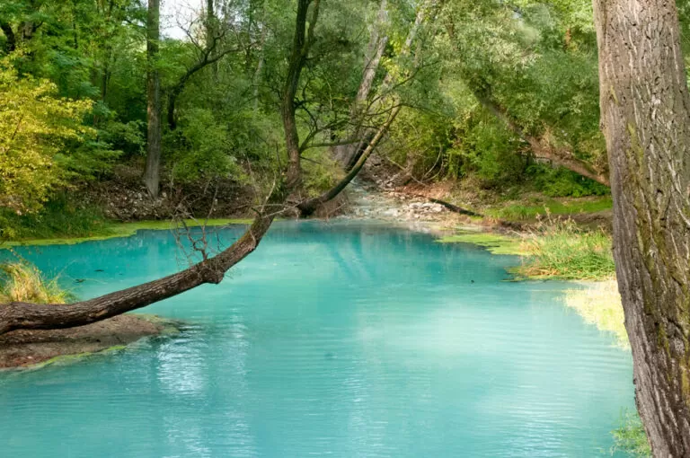 Alle sorgenti sulfuree del lavino: pozze cristalline