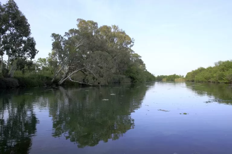 A spasso per Siracusa: fiume