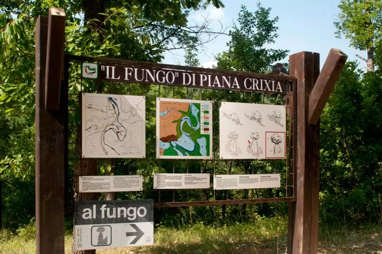 Fungo Piana Crixia