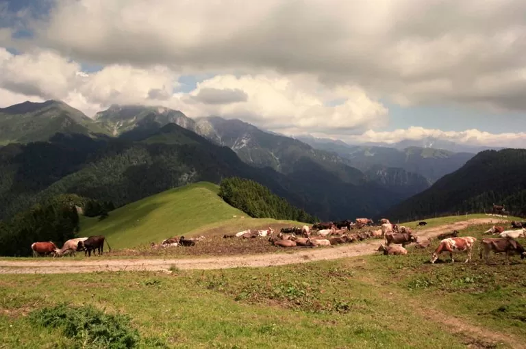 Passo San Marco moto