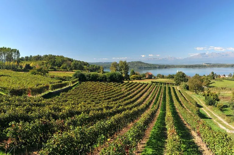 Piemonte