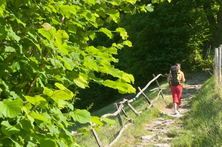 Passeggiata Prati Parini: inizio sentiero