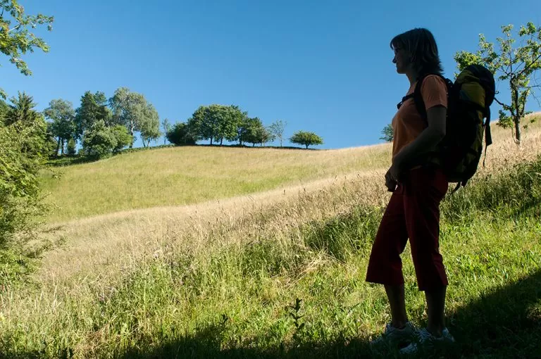 Passeggiata Prati Parini