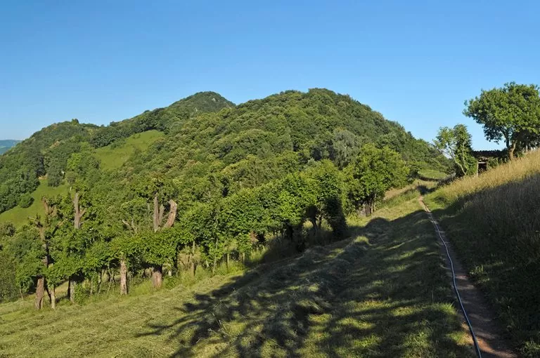 Passeggiata Prati Parini: sentiero di cresta