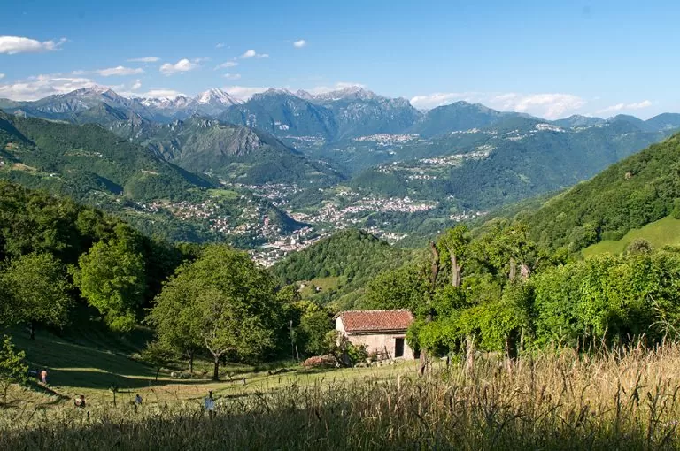 Passeggiata Prati Parini: fieno