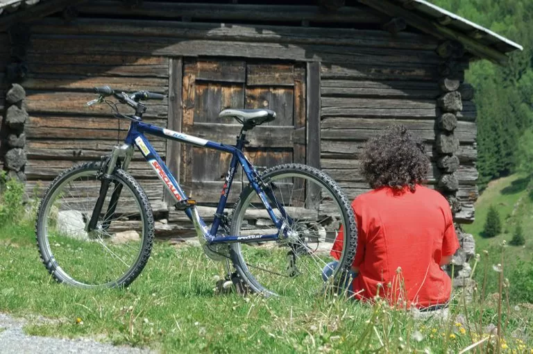 Val Grosina: baita