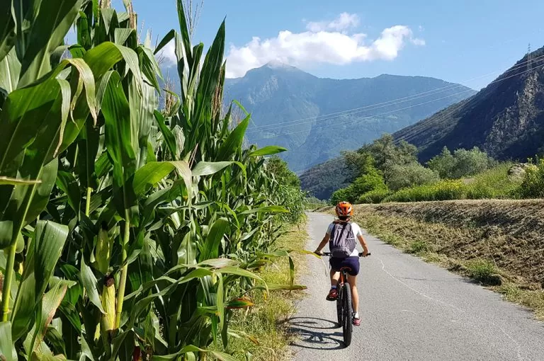 Valchiavenna bici: ciclabile