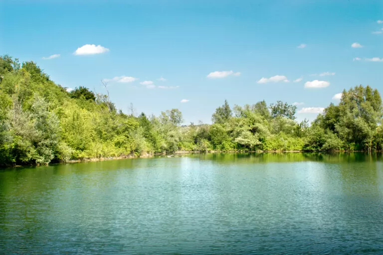 Salse di nirano: laghetti