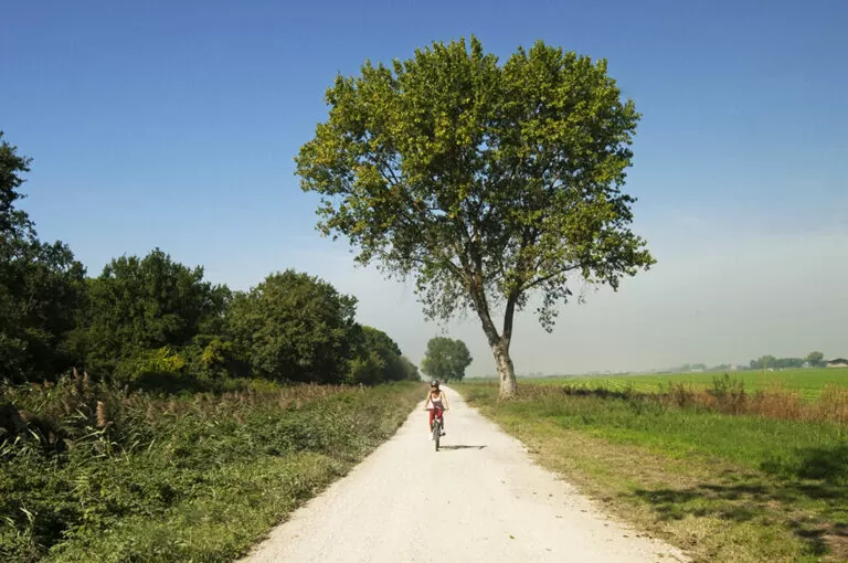 In bici da Classe a Cervia: ciclabile